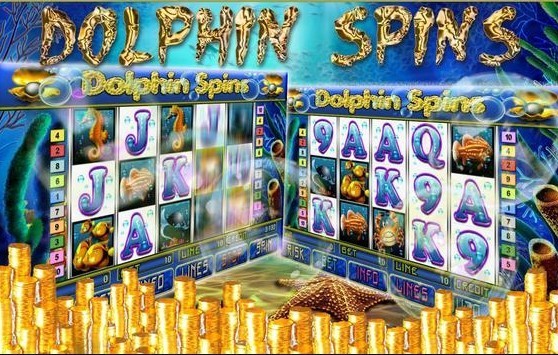 Dolphin Spins